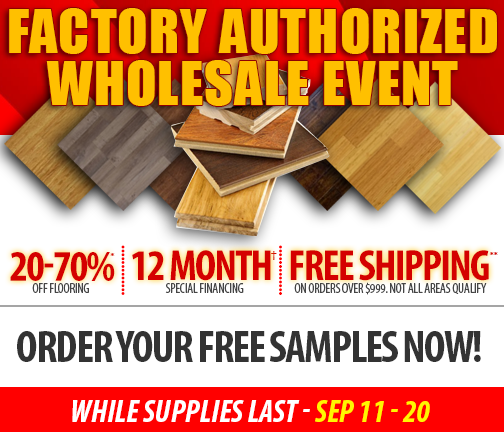 iFLOOR Team tweet media