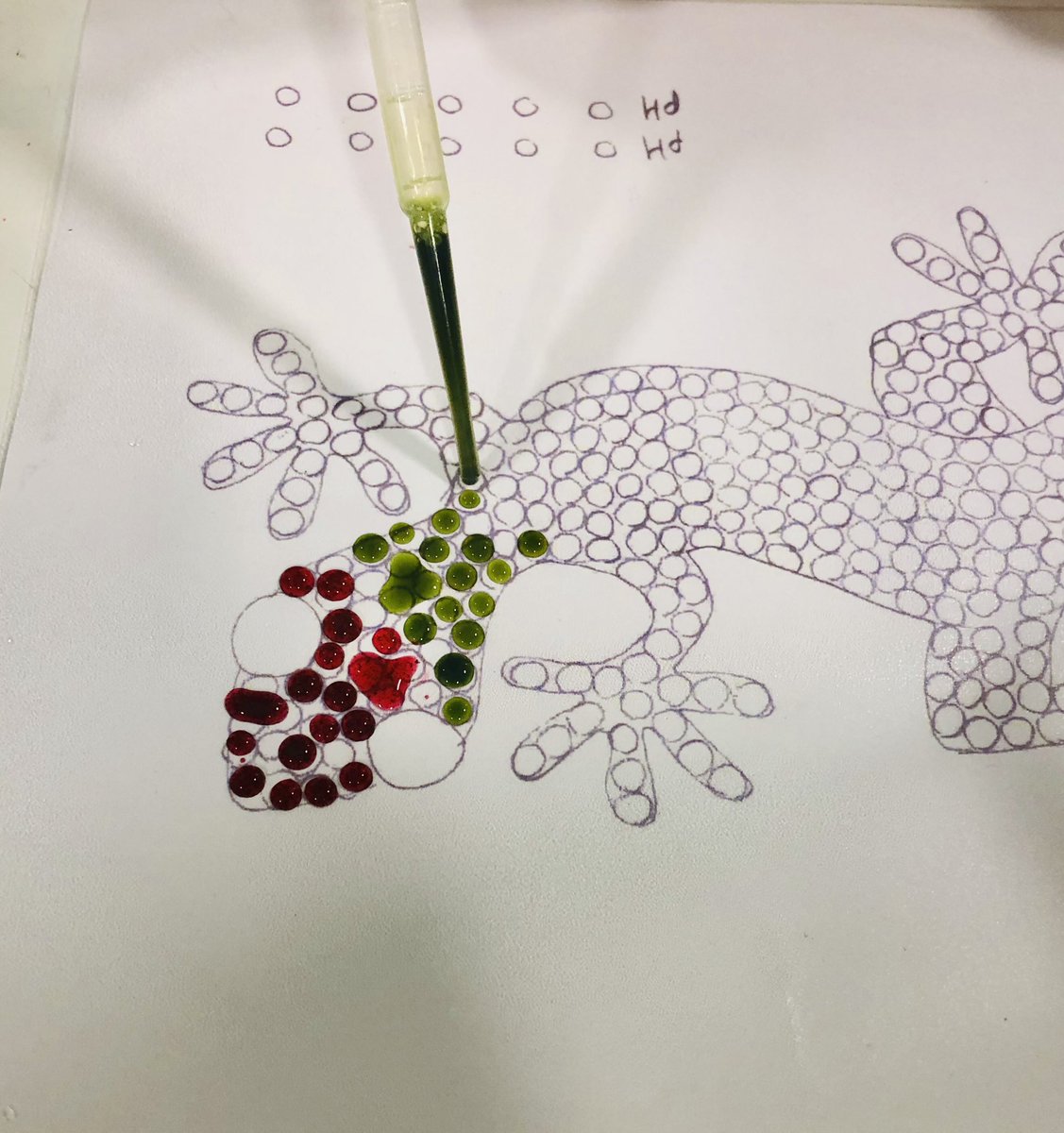 Year 6 evening #IndicatorArt #pH
