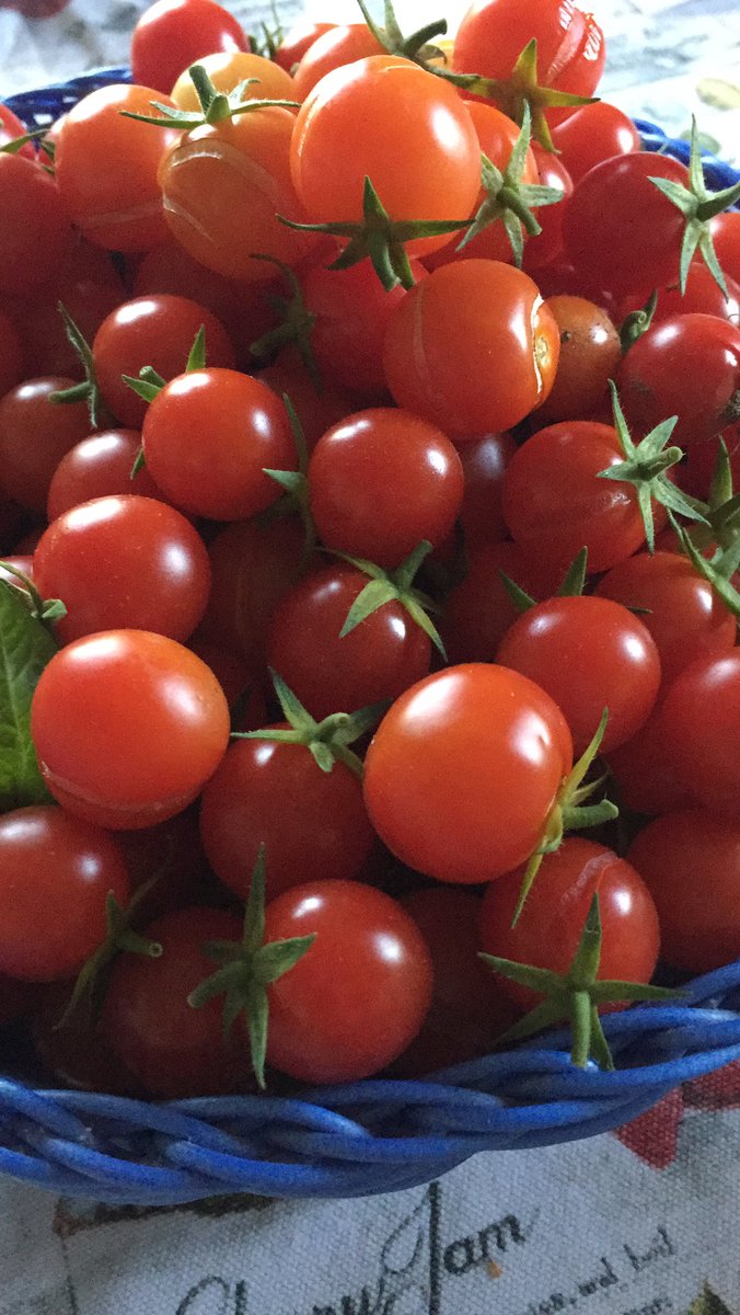 tuscanyparty's tweet photo. The sun ☀️ is still shining and the vegetables are wonderful #celebrate #birthday #weddings #bride #planning #events https://t.co/6R1FRHpf1D