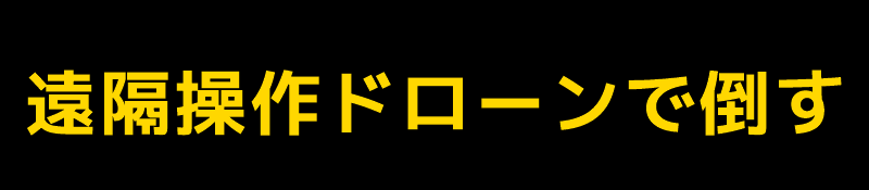 チー太郎 チー太郎 - البحث / X