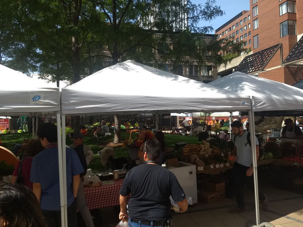 Farmer's market at Kendall Sq on a sunny September afternoon. Not a bad