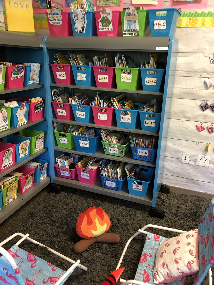 MissLittlejohn2's tweet photo. Thank you to my Auntie for purchasing 100 new books for our classroom library! And thank you to these helpful kiddos for helping me get them all organized and put away! Teamwork makes the dream work! @AESowls https://t.co/8vxz29Mbsq