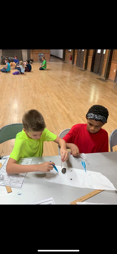 zumprogress's tweet photo. Owl pellet dissection! Students explored what was inside. #PSElearns #PSEexplores https://t.co/PpWtHSgIfV