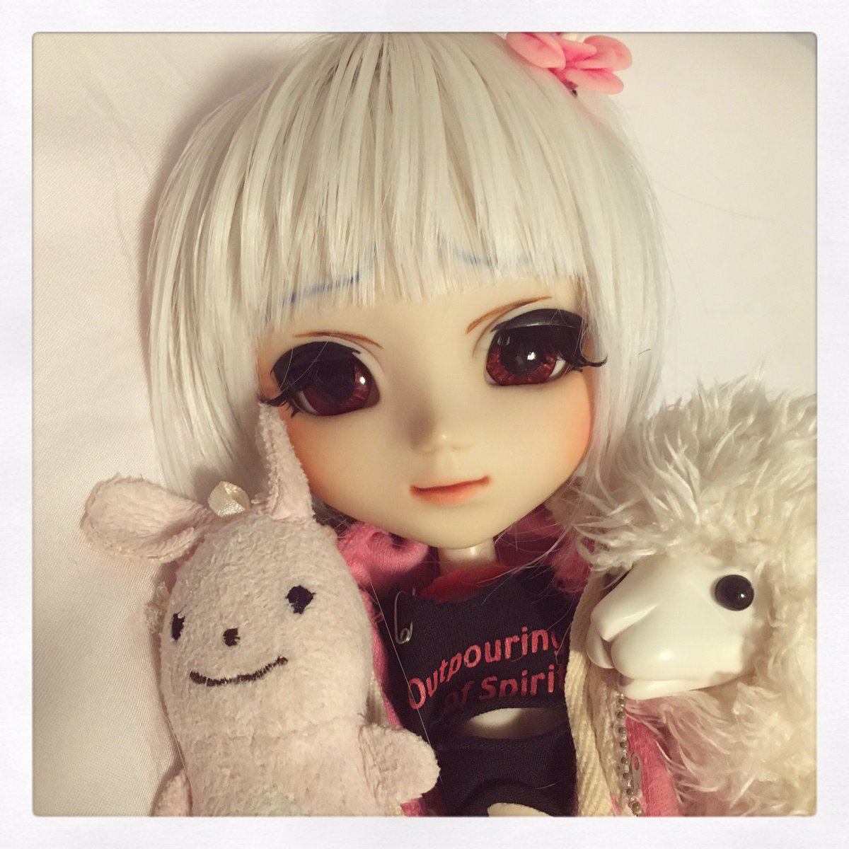 762_fmj's tweet photo. 初白靜靜地陪爸爸做嘢 #pullip #pulliphk #doll https://t.co/dgy5PU26UQ