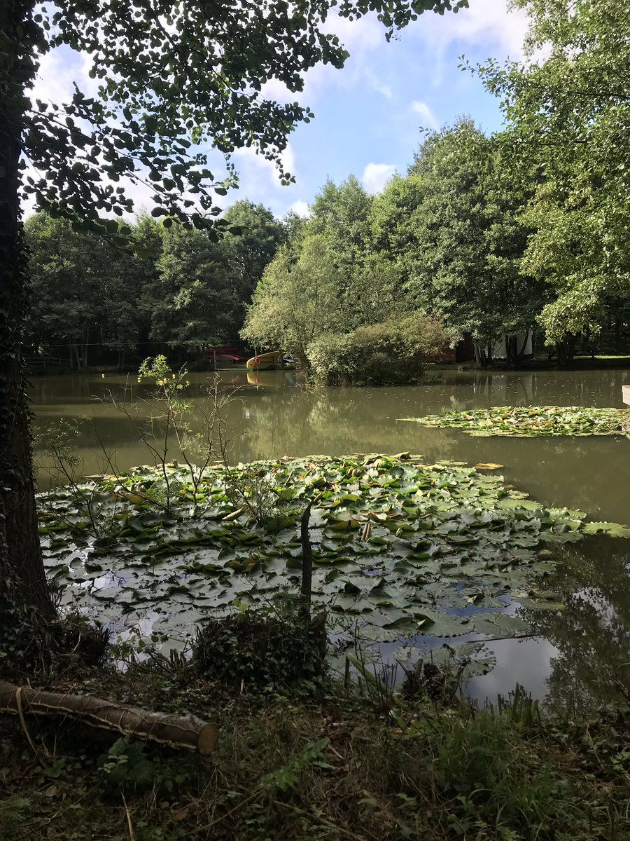 nikitabwilliams's tweet photo. Had such a fab day with Top Adventures. Canβt believe this was actually considered a working day π§π½ββοΈπ
Best part is #TeamBeInspired won and received some goodies π Looking forward to a chilled evening accompanied by a dominos πππ½#GAPBeInspired https://t.co/NPvu1Hsmbu