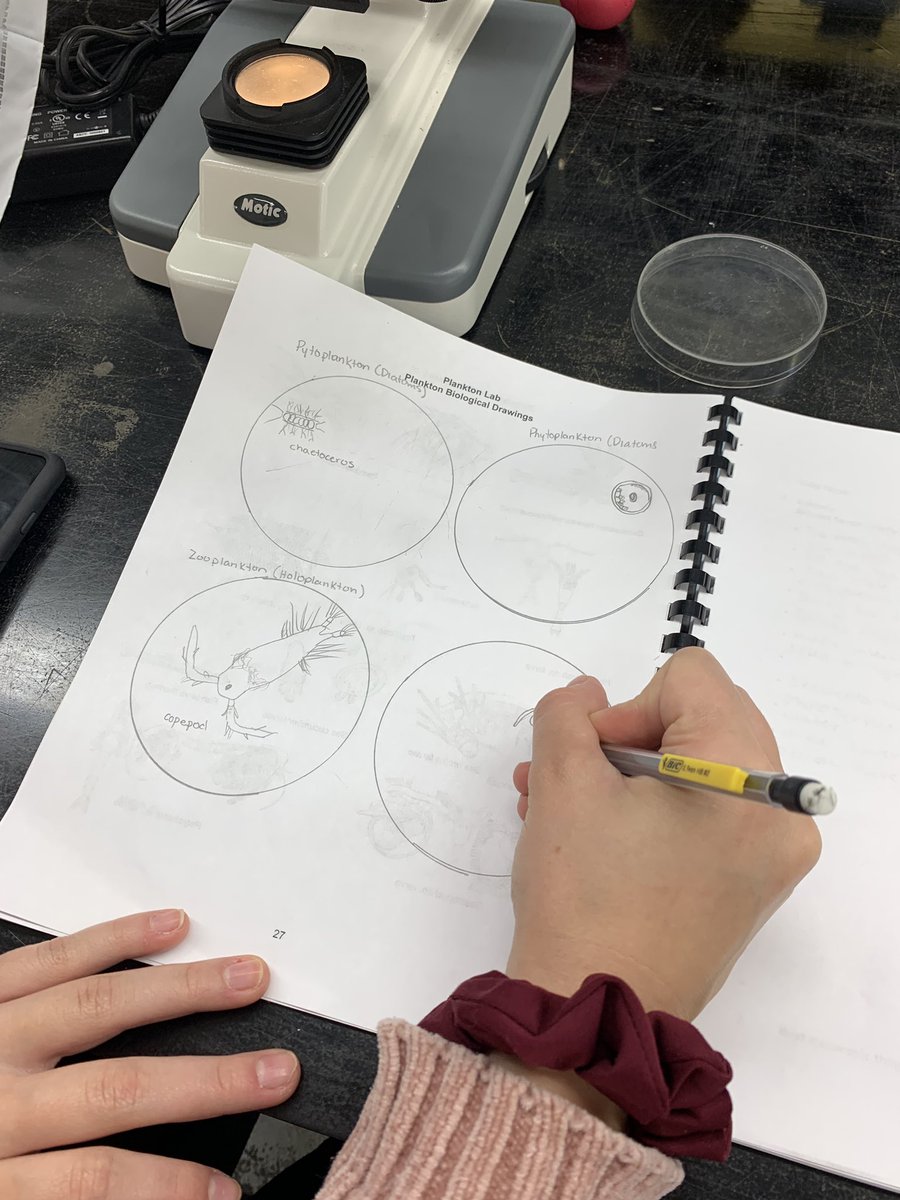 Plankton lab! <a href="/StFXOCSB/">St. Francis Xavier High School</a> @HuntsmanEdDept <a href="/ImmaculataOCSB/">Immaculata High School</a> <a href="/StMarkOCSB/">St. Mark High School</a>