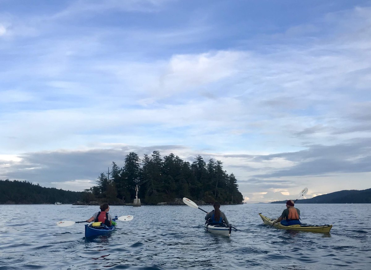 SSadventureco's tweet image. Theses are all of our amazing kayak guides. Come for a kayak tour and get to enjoy their knowledge of the many things to see out in our harbour and beyond :) #kayaking #SSAdventureCo #ComeAdventureWithUs