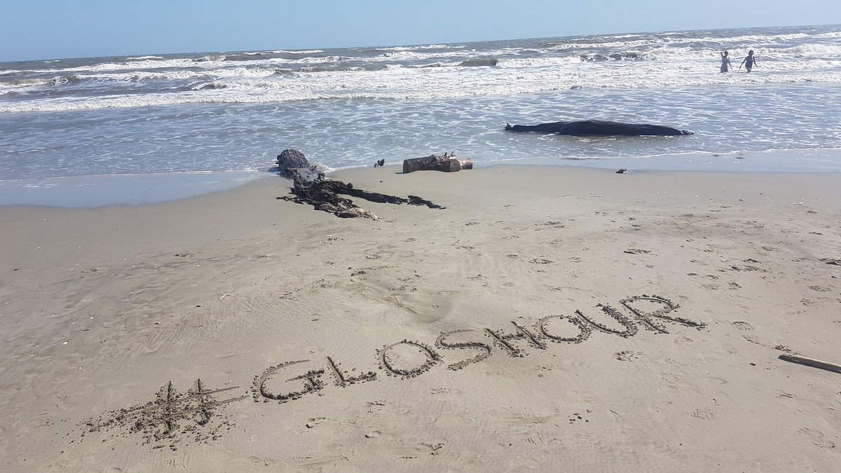 Good evening just a shout out that it is #Gloucestershire Hour tonight at 8pm.

#gloshour is a great chance to network with other local businesses, organisations and people.

To join in search and use the #gloshour hashtag.

#wnukrt #womaninbiz