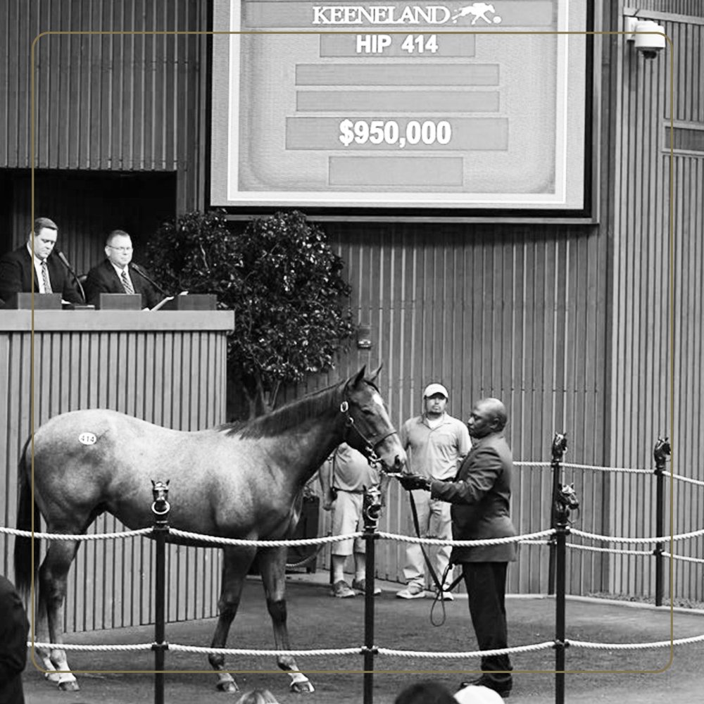 keenelandsales's tweet photo. More early action at #KeeSept! Hip 414, a Twirling Candy colt and half-brother to G1 winners Roadster and Ascend, brings $950,000 at #KeeSept. Consigned by @stonefarmky. https://t.co/pX4TNc77Mw