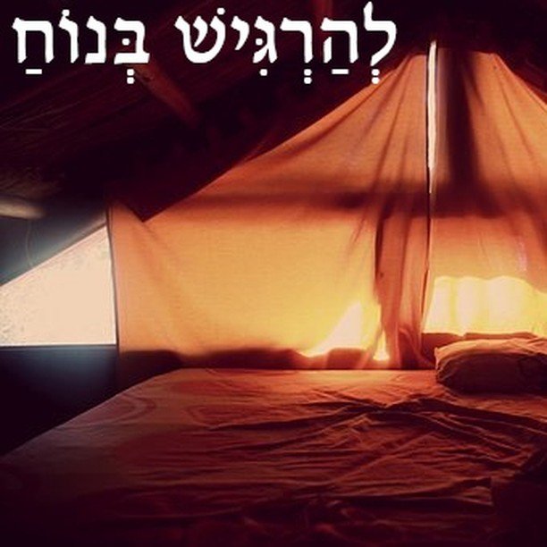 RutAvni's tweet photo. to feel comfortable - (Improve your Hebrew with https://t.co/iMDdbc1jpb - link in bio)⁠
⁠
⁠
#hebrew #hebräisch #learninghebrew #hebräischlernen #hebreo #aprenderhebreo #hebreu #apprendrehebreu #ulpan #oulpan #aliyah #rutavni #hebrewwithrut #sabretv https://t.co/64xz8Gkqge https://t.co/OCEgwEusBq