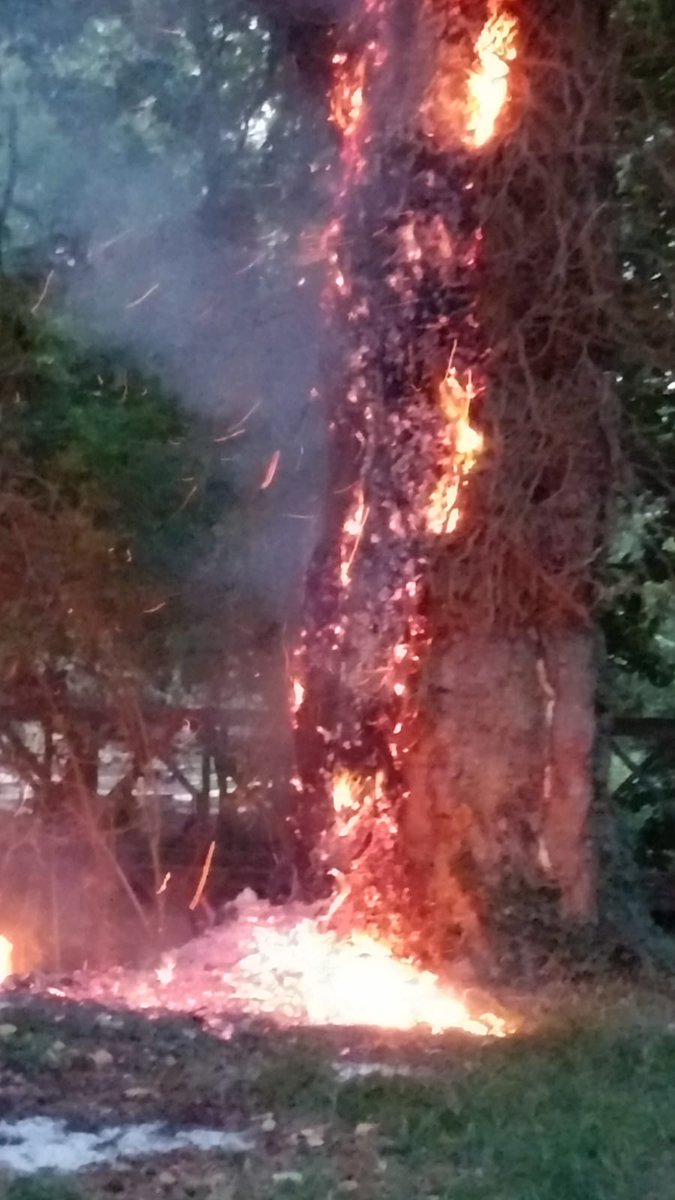 SujataJolly's tweet photo. Woke up at 6am to find one of our 300 yr old tree on fire. @SurreyFRS attended near the end of their 15 hour shift and extinguished the fire. Many thanks to the team for saving our precious tree @RbwmResidents #wraysbury #supportyourlocalfirefighters,#fireneighbours https://t.co/YbE01tD1jw