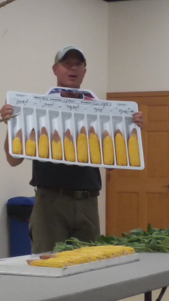 Corey Hulke (@coreyhulke) on Twitter photo John from @WinFieldUnited showing ear size difference with different N rates at the <a href="/UnitedInsightMN/">United Insight</a> grower meeting. John from @WinFieldUnited showing ear size difference with different N rates at the <a href="/UnitedInsightMN/">United Insight</a> grower meeting.