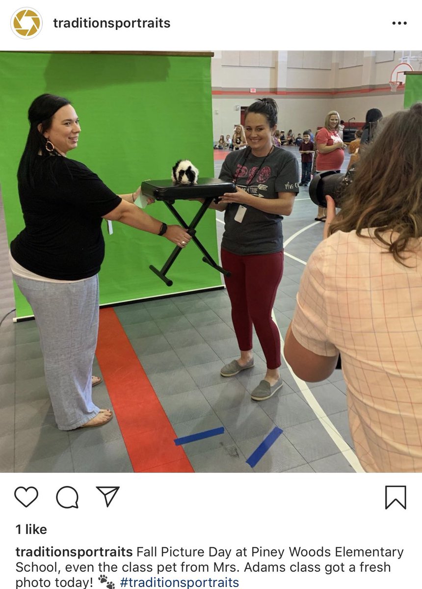 PWE_Splendora's tweet photo. Mrs. Adams’ class pet, Puppy Lé Pig, had his picture taken today by #traditionsportraits so he could be featured in the yearbook as part of their class. They were so impressed that they posted it to their Instagram!  #WeAreSplendora #PWErocks #2020Vision #AllGoodInTheWoods https://t.co/CHJ8ziditC