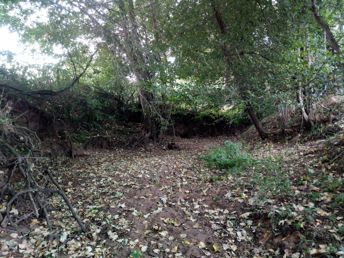 Pierre Picard tweet media