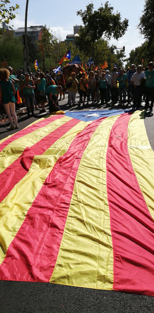PrimariesMataro's tweet photo. 🔈Avui, l'independentisme ha tornat a sortir al carrer.
🗣️ Un any més, centenars de milers de persones han omplert a vessar els carrers de Barcelona.
‼️ La repressió d'un Estat demofòbic no ens farà renunciar als nostres drets com a poble! ✊
#Diada2019 #Diada19 #RecuperaElPoder https://t.co/C2MWsGpN0y