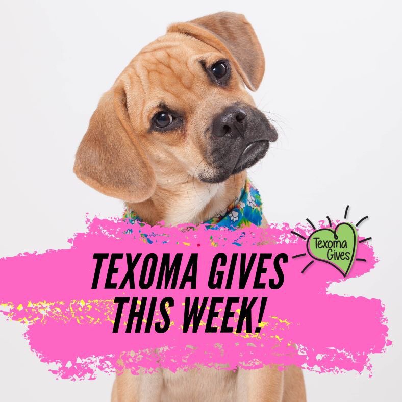 TEXOMA GIVES IS TOMORROW!!! we’re ready to see our community rally around our shelter dogs and cats. 🐶😺 with your help, we can raise $20K in just ONE DAY! #TexomaGives #letyourloveflow