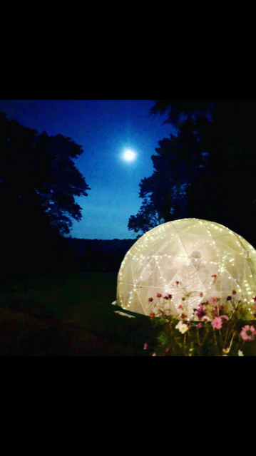 Edible_Forest's tweet photo. Just two places left for tomorrow night's dining under the stars experience at @AbbotsOakManor then we're all sold out for this year - better be quick if you want to join us! https://t.co/ziCj7HBKJh https://t.co/rDrycjJbVI