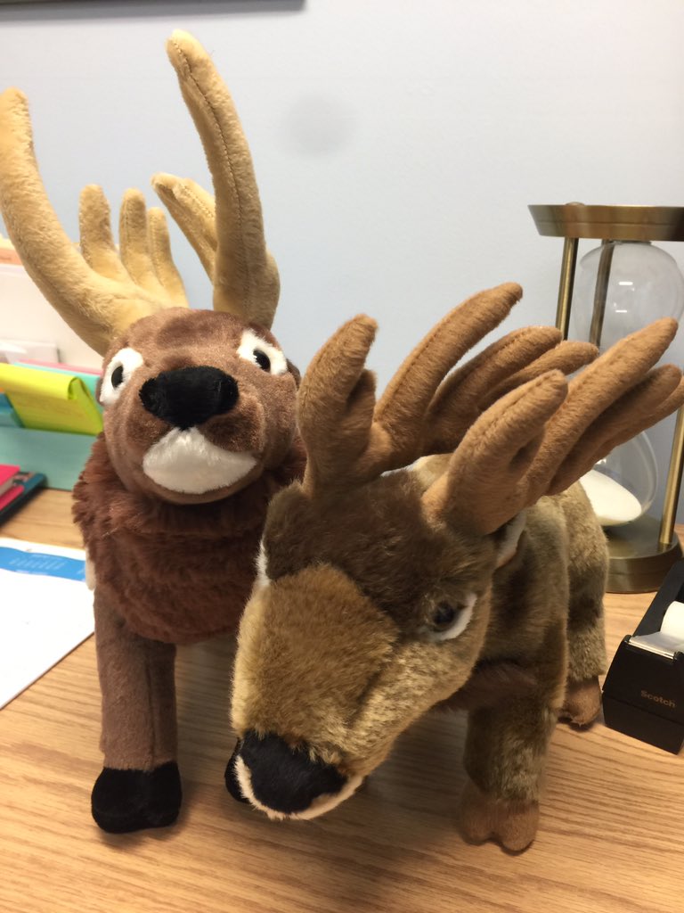 Knowltonschool's tweet photo. Meet Eric and Chestnut! https://t.co/JwQMN8GOFq