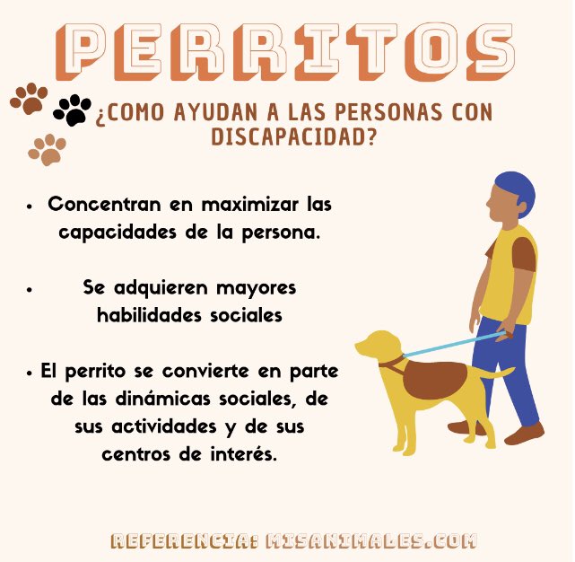 manoscapacesIAP's tweet photo. ¿Tienes perrito? Muchos de estos ayudan a gente con discapacidad, ¿sabias esto? #DatoCurioso #ManosCapaces 🧩 https://t.co/Gekkeey5GP