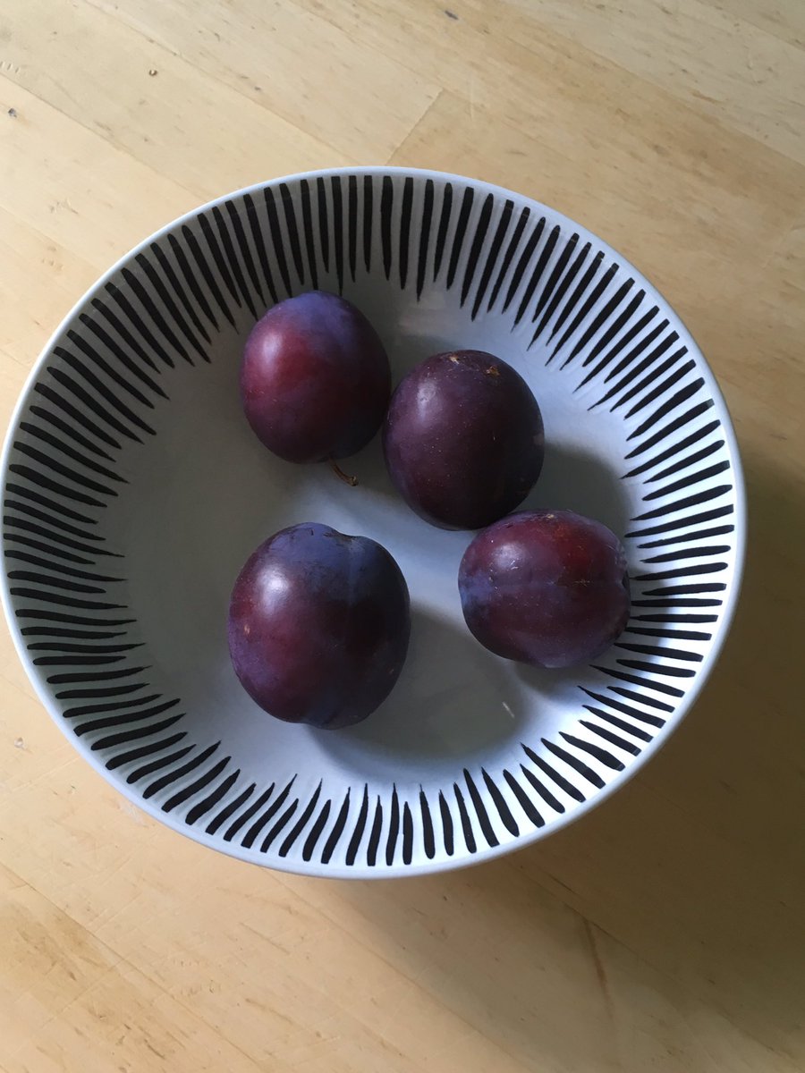 kingfisher_77's tweet photo. This is our massive plum harvest from the plum tree & we have at least 8 hazelnuts coming on the hazel tree. Just saying ๐๐๐ #brexitstockpiling https://t.co/QXOeuwhbeo