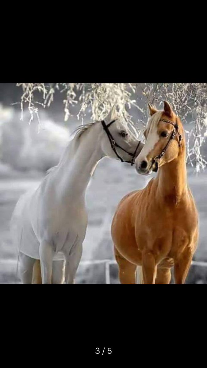 عندك للسر مطرح ؟؟؟