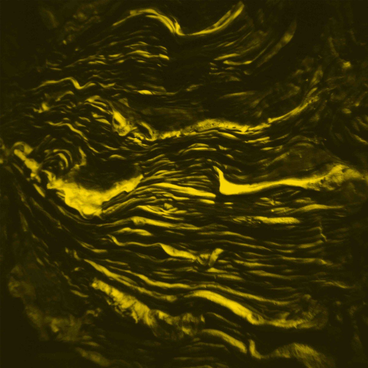 Lights Out Premiere: Bxentric - The Carrier [Nanda Records] dlvr.it/RCvwJy