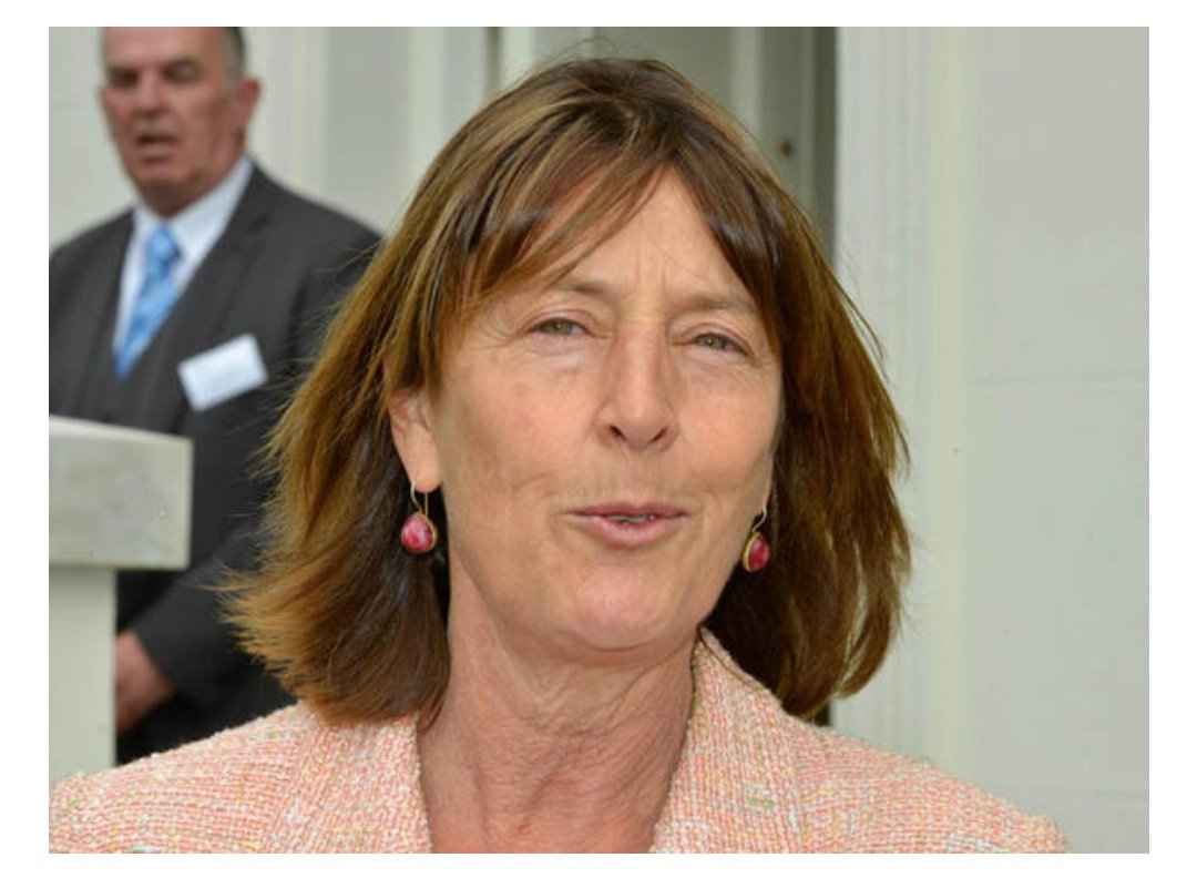 Amanda Ellingworth is the granddaughter of Earl Mountbatten who is said to have been a patron of Kincora. She is a social worker and holds a number of directorships. Her earlier career was in UK social work, specialising ironically in children's services and child protection.