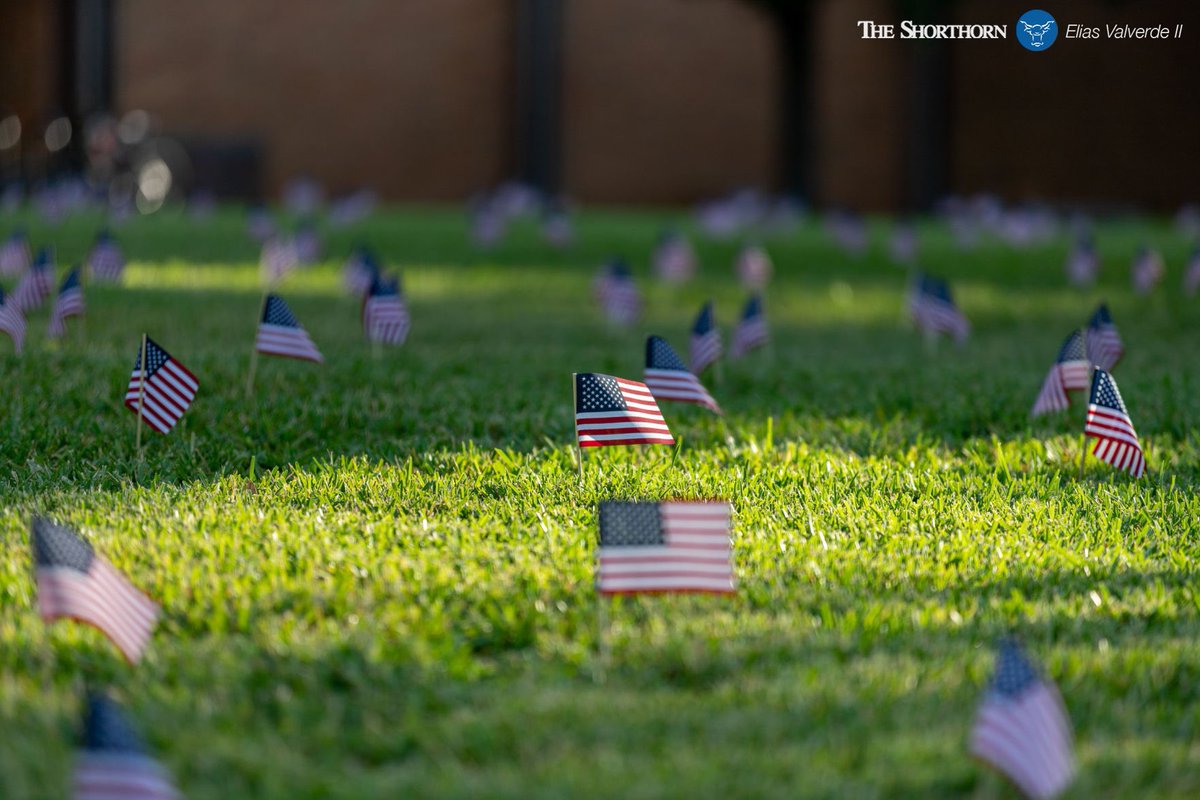 elias_valverde's tweet photo. On the 18th anniversary of 9/11, @uta_yaf placed 2,977 American flags on the Central Library Mall, one for each person who died during the attacks. @UTAShorthorn #NeverForget https://t.co/9X6TNZYNlQ