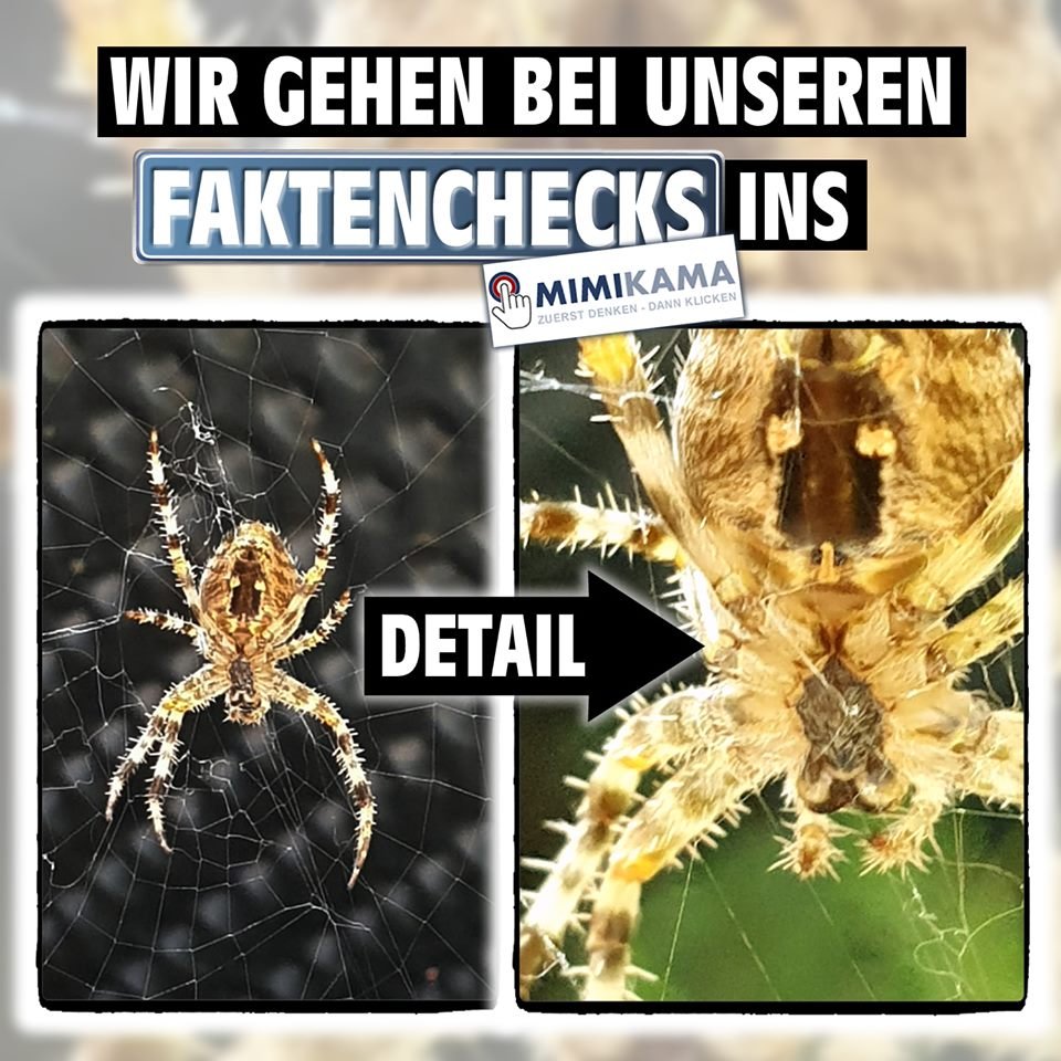mimikama_org's tweet photo. Mal ganz klar:
Wir schauen genau hin!
#spidercontent https://t.co/1WjpelmsQ8