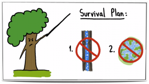 CSEN Colorado tweet media