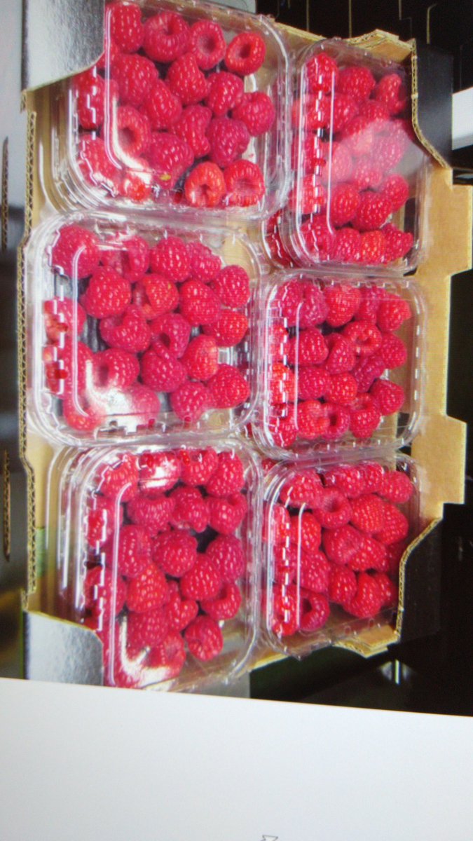 yex.nl/nl-nl/Ons-bedr… #vacature #yex #zachtfruit