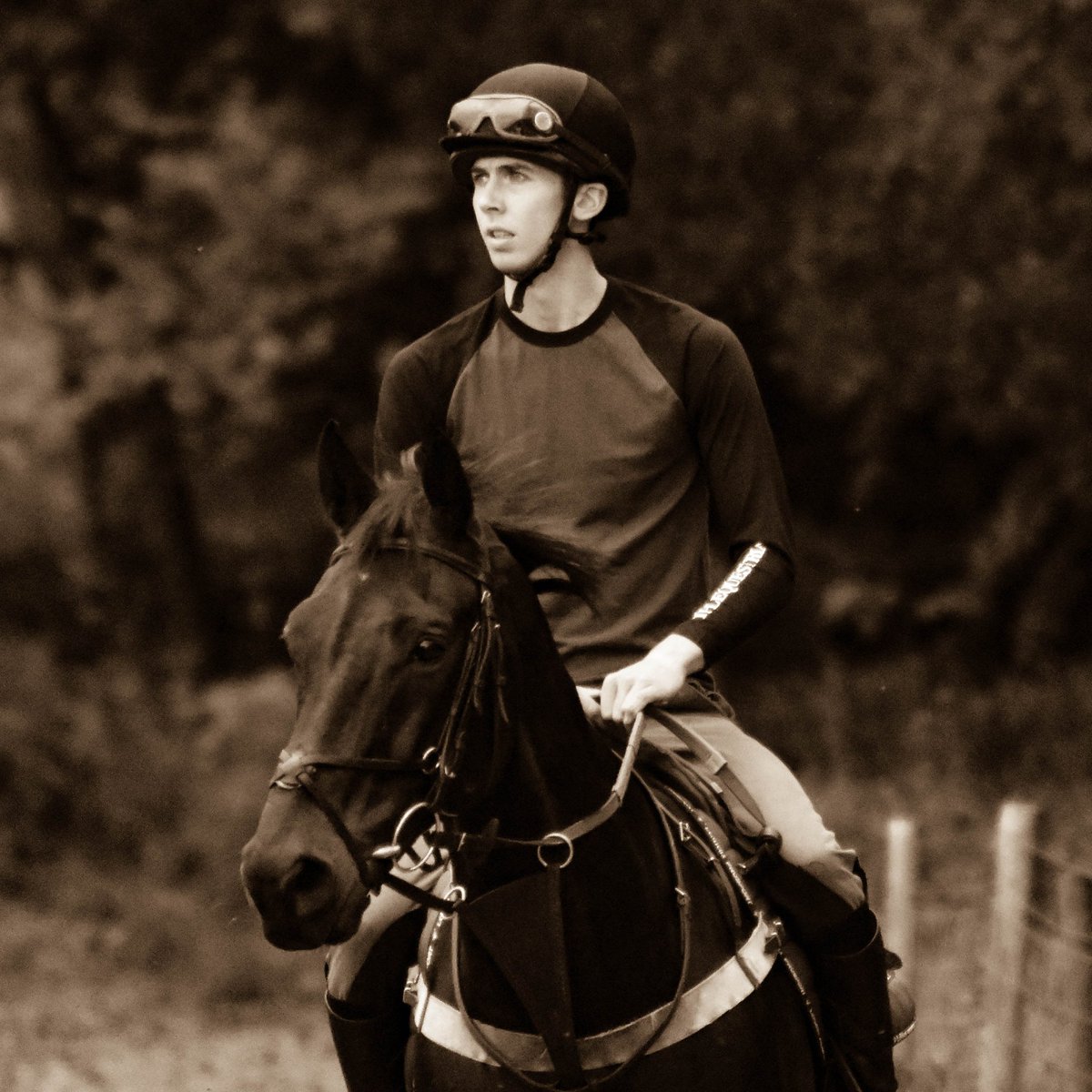 Looking for equine/canine/rural businesses, product or service based to work with. Must be located Herefordshire/Worcs/Glos and be free midweek. Please get in touch if you are interested info@contemporarycaptures.co.uk #equinehour #farmersweekly #worcestershirehour #uptonhour