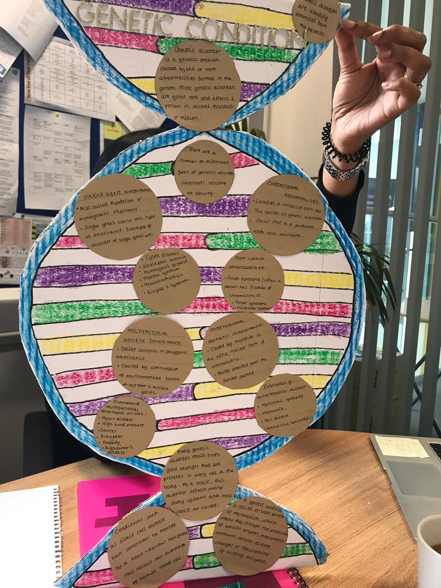 EssaAcadScience's tweet photo. Itβs in their DNA π΅ 𧬠A fantastic piece of Science homework by one of our Year 8 students @EssaAcademy #DNA #sciencehomework #stopcopyingme https://t.co/E5mfiUnFcq