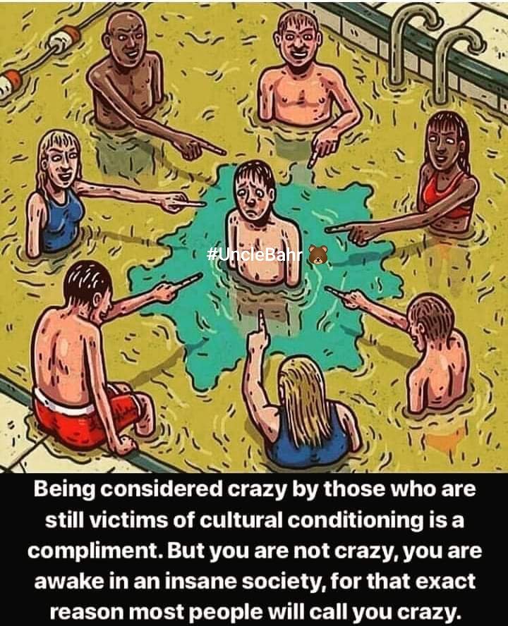 BlackFirstNet's tweet image. 