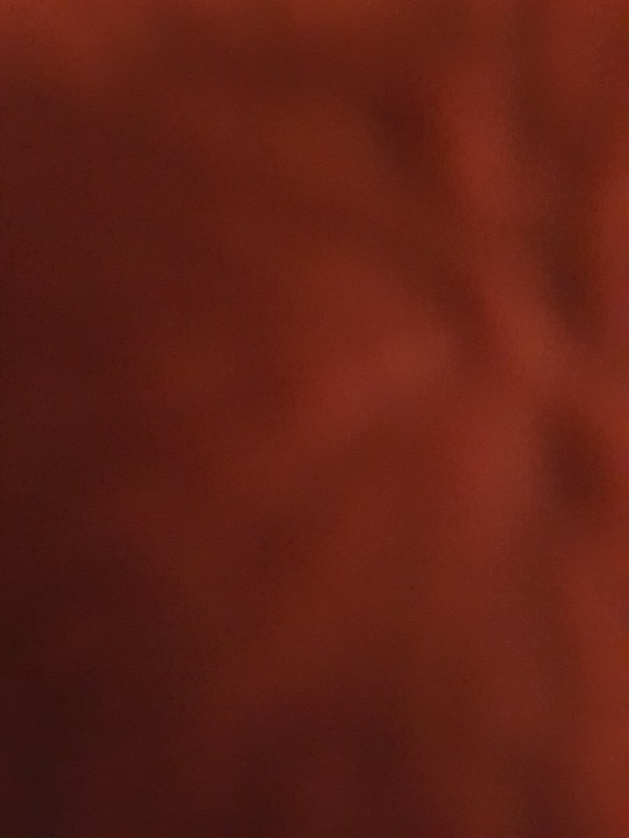 nerdbirdno1's tweet photo. This is my current view. I am hiding under the duvet screaming like a girl (coz I am one!). THERE IS A DADDY LONG LEGS IN THE HOUSE π±
#insectssuck #daddylonglegs #aarrgh https://t.co/8ERafXVaEH