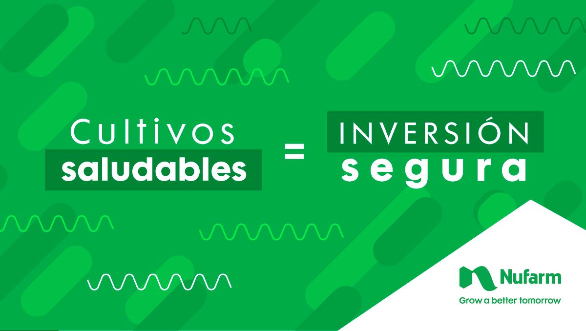 sumitomochem_ar's tweet photo. ➡ ¿Sabías que #WeedarFull no precipita gracias a su innovadora tecnología #DualSalt? 🌱 Descubrí el rendimiento 👉 https://t.co/LDa26LPPaE https://t.co/mFe4I12NY8