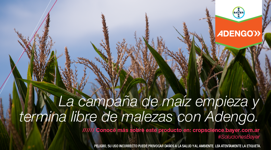 AgroBayerAR's tweet photo. ¡Aplica #Adengo, el herbicida que va desde la pre hasta la post emergencia de tus cultivos de maíz para que esta campaña comience y termine libre de malezas! #SolucionesBayer https://t.co/sqm0u3Ieoh