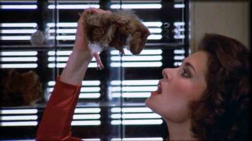 BMoojitoo's tweet photo. #PetitJavaisPeurDe Diana De la série V!!
La scène ou elle mange un rat😬😬😬!! https://t.co/FOGkCGmdaF