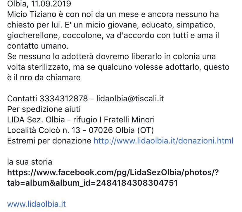 LidaSezOlbia's tweet photo. #Micio Tiziano è con noi da un mese e ancora nessuno ha chiesto per lui. E' un micio #giovane, #educato, #simpatico, #giocherellone, #coccolone, va d'accordo con tutti e ama il contatto umano.
Se nessuno lo adotterà dovremo liberarlo in #colonia una volta sterilizzato https://t.co/2s3fXQGUkX