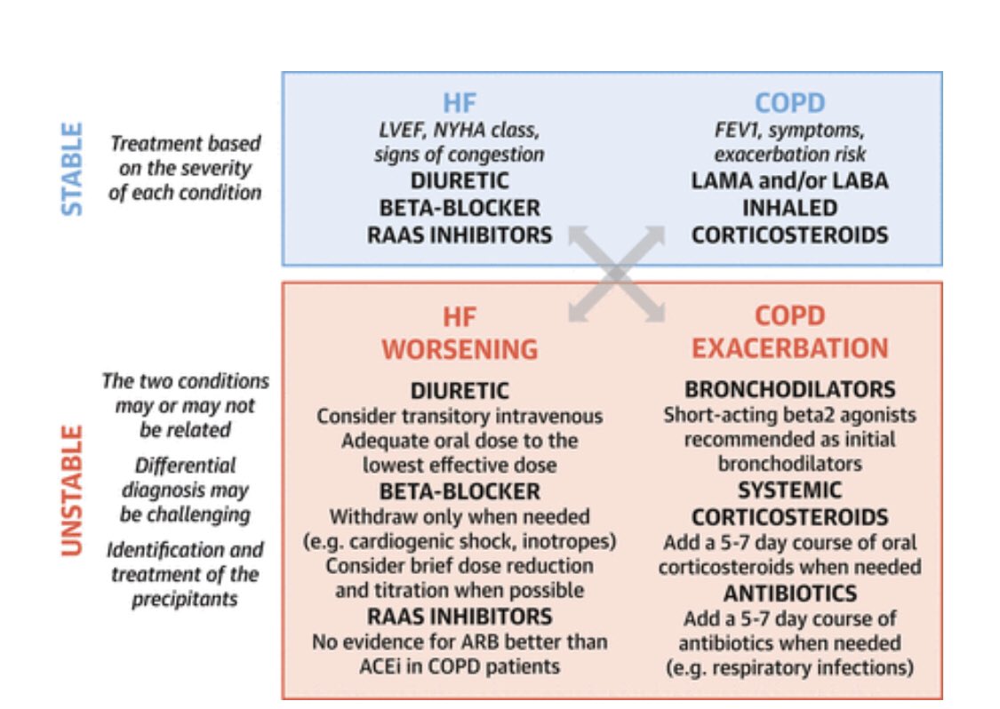 Diagnostic and Therapeutic Gaps in Patients With Heart Failure and Chronic Obstructive Pulmonary Disease. Vía <a href="/JACCJournals/">JACC Journals</a> 
📎 heartfailure.onlinejacc.org/content/early/… <a href="/secardiologia/">Soc Esp Cardiología</a> <a href="/IcyfaSemi/">@ICyFA-SEMI</a>