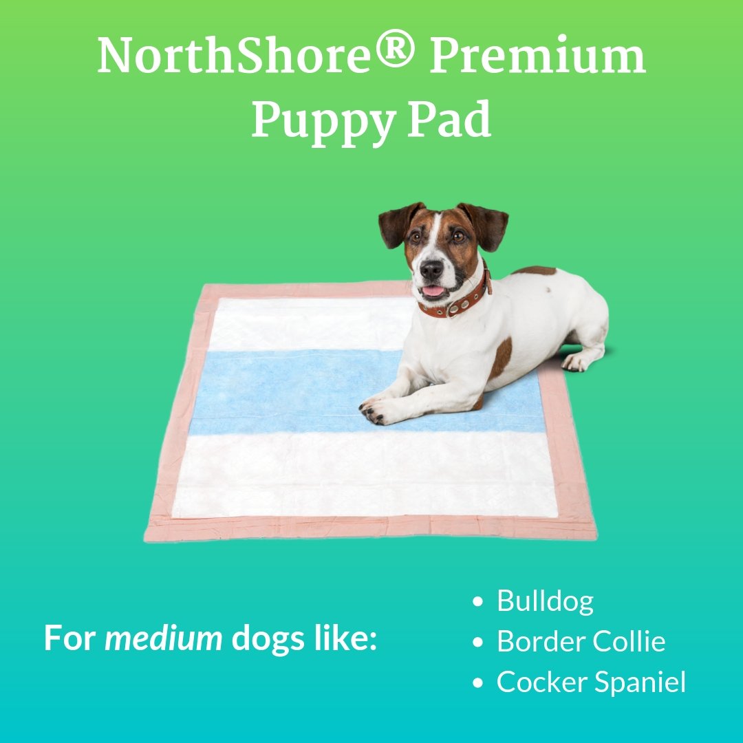 NorthShoreCare's tweet image. No pet owner wants to come home to accidents. So, stay stress-free with NorthShore's brand of pet pads. Here are 3 of our top sellers!
#puppypads #dogs #pets