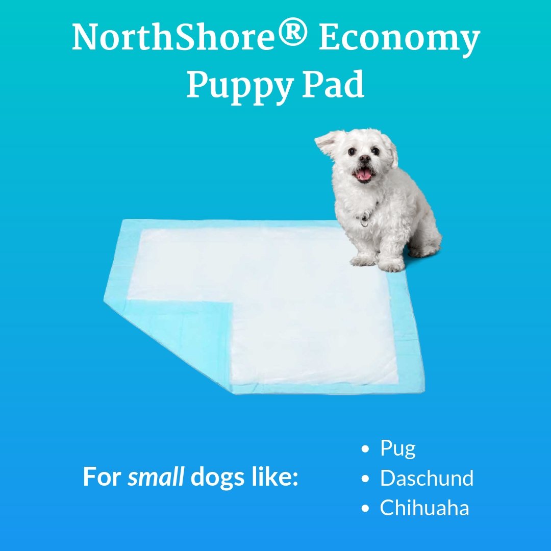 NorthShoreCare's tweet image. No pet owner wants to come home to accidents. So, stay stress-free with NorthShore's brand of pet pads. Here are 3 of our top sellers!
#puppypads #dogs #pets