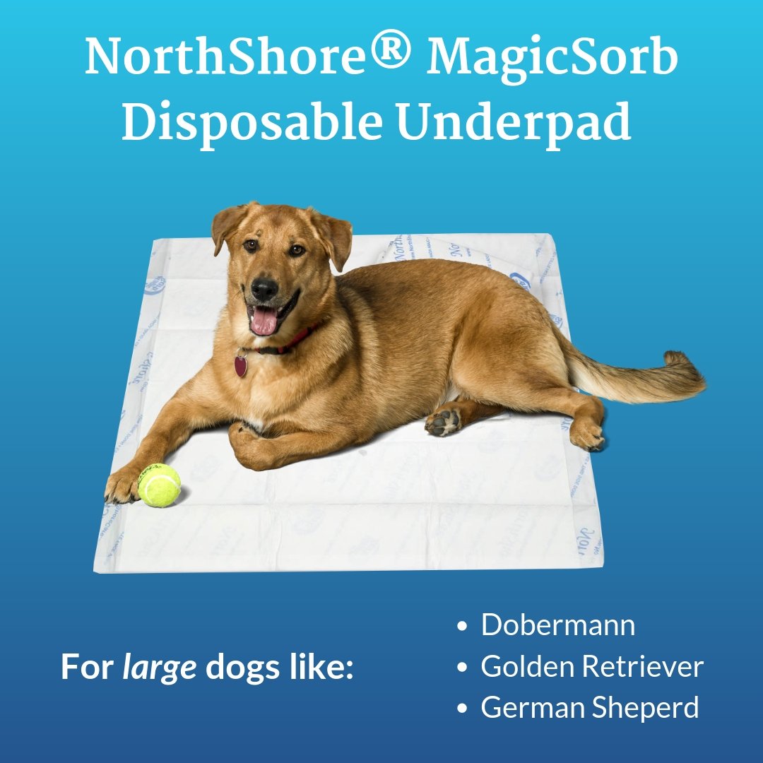 NorthShoreCare's tweet image. No pet owner wants to come home to accidents. So, stay stress-free with NorthShore's brand of pet pads. Here are 3 of our top sellers!
#puppypads #dogs #pets