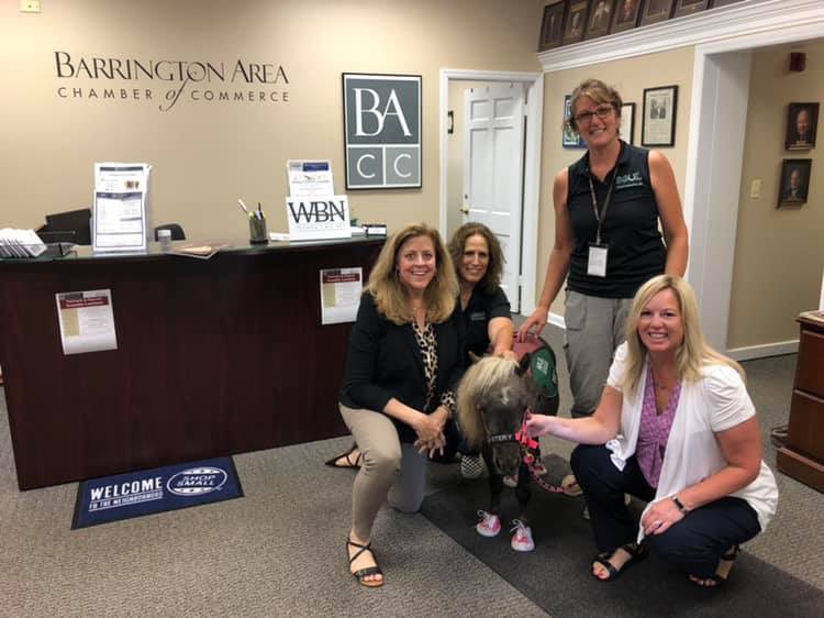 soulharborranch's tweet photo. We LOVE being members of the incredible Barrington Area Chamber of Commerce.
Mystery received a special invitation to attend todayβs membership luncheon in celebration of National Chamber of Commerce Weekπ @bacc_tweet #chamberofcommerceweek https://t.co/2mvHurUths