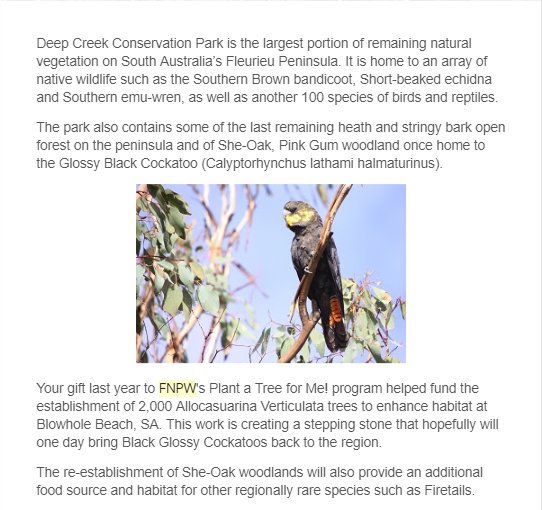 TheMonoForest's tweet photo. Emails we received from @fnpw back in July! Your donations helped grow 2000 trees and created a 60,000 hectare national park at Nilipena, South Australia!!!!
#HappyBirthdayRM
#OurJooniverse
#MoonchildDay
#HappyBirthdayNamjoon
#남준이는_아미의_사랑이자_자랑
#RMGalaxyDay
@BTS_twt https://t.co/hR82wMXElt