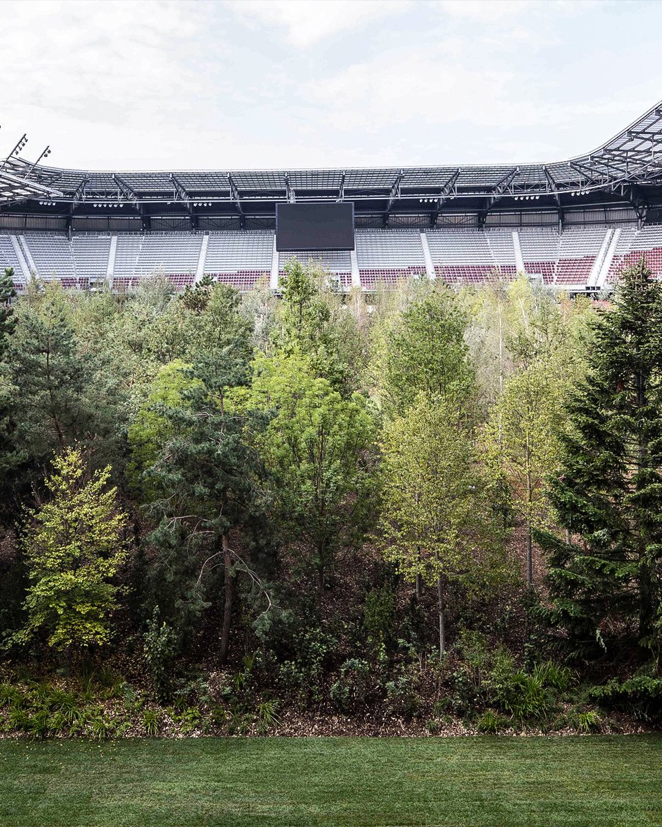 433's tweet photo. SK Austria Klagenfurt have allowed a Swiss artist to plant a forest on their pitch in order to raise awareness for deforestation and climate change 🌲😍
⁣
📸 Gerhard Mauer https://t.co/a38IeiBqkf