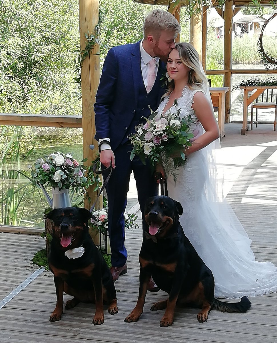#woofwoofwednesday #Weddinghour our most recent wedding