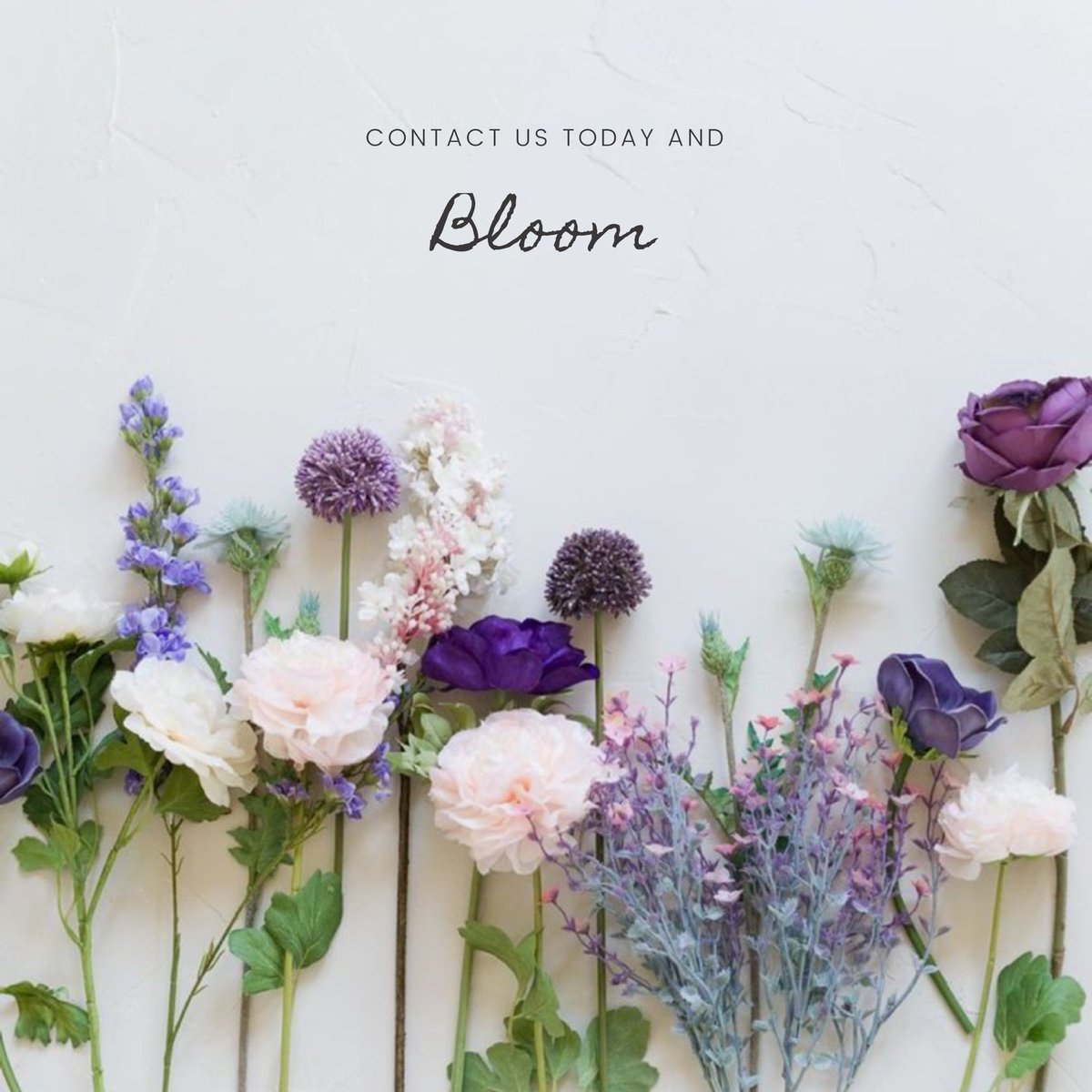 bloomingmms's tweet photo. We are here to help you meet your business goals and BLOOM 🌷 Contaxct is today and book your free consultation 🌱 #Ayrshirebusiness #grow #businessgoals #digitalmarketing https://t.co/RK4rTt0uRi
