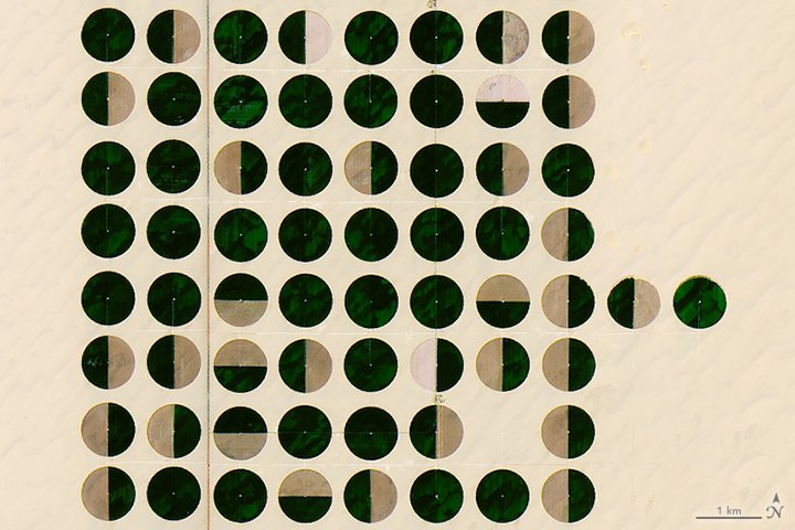 JuliaKrohmer tweet media