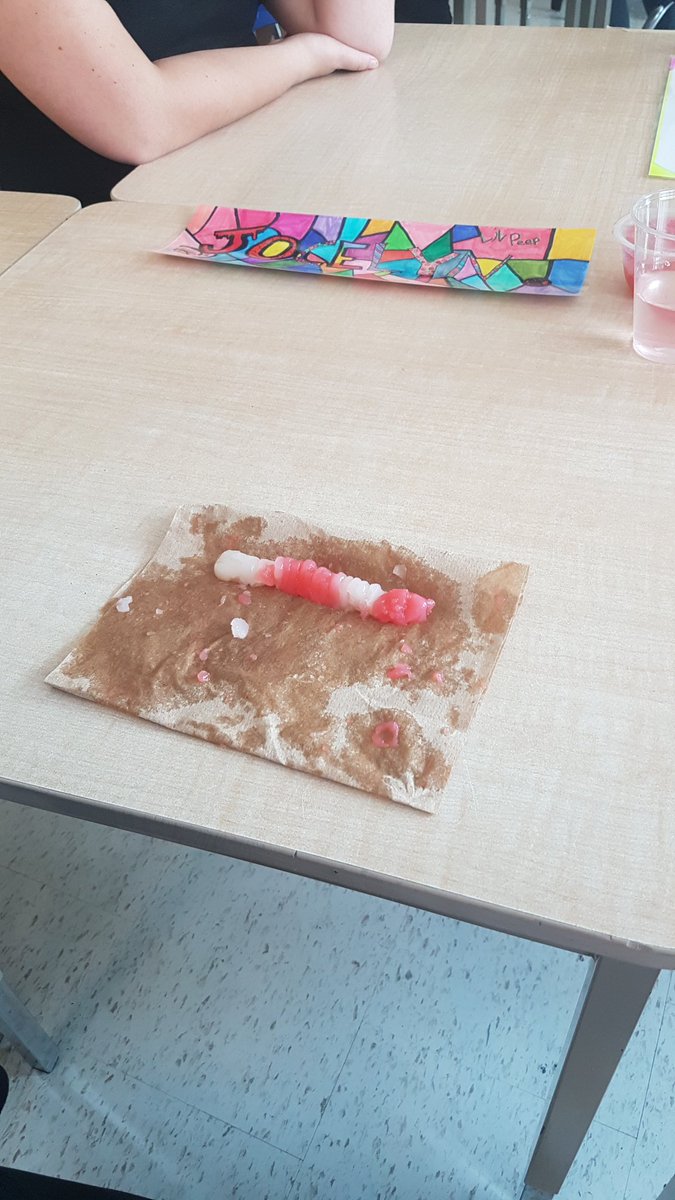 msharries93's tweet photo. Applying the scientific method to see what happens to gummy worms  when left in different liquids for 24hours. @jrcallwood #corbascan https://t.co/Dti6HyktRR
